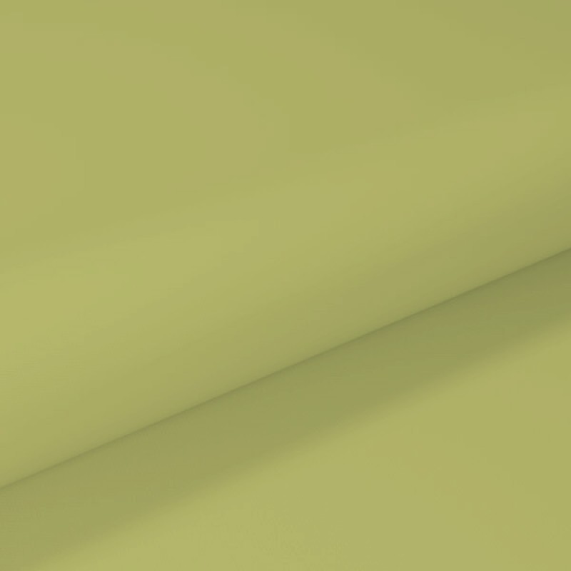 Core Light Filtering Roller Blind – Leaf Green